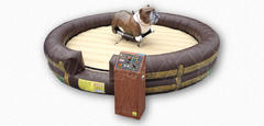 Mechanical Bulldog Ride Mechanical Bulldog Ride