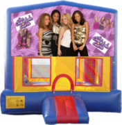 Cheetah Girls- 15x15 Cheetah Girls- 15x15