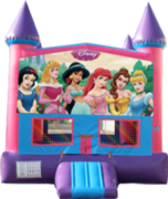 Disney Princess- 15x15 Pink Disney Princess- 15x15 Pink