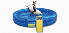 Mechanical Dolphin Ride Mechanical Dolphin Ride
