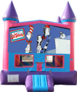 Dr. Seuss- 15x15 Pink Dr. Seuss- 15x15 Pink
