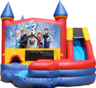 Frozen Curvy Slide Combo Frozen Curvy Slide Combo
