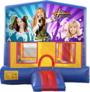 Hannah Montana- 15x15 Hannah Montana- 15x15