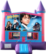 Harry Potter- 15x15 Pink Harry Potter- 15x15 Pink
