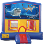 Sharks- 15x15 Sharks- 15x15