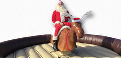 Mechanical Reindeer Ride Mechanical Reindeer Ride