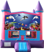Seaworld- 15x15 Pink Seaworld- 15x15 Pink