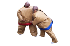 Sumo Suits Sumo Suits
