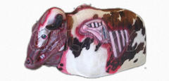 Mechanical Zombie Bull Ride Mechanical Zombie Bull Ride